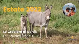 Ep. 8 Asinara (Parte I), Sardegna - La nostra Estate 2022 in Barca a Vela su Ronik