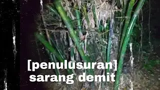 [PENELUSURAN] Jangan masuk sendiri ke sini sangat ANGKER BAHAYA