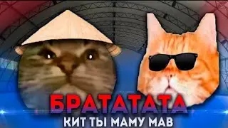Кит ты маму мав Братататата