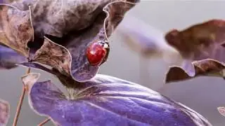 Kidopa Fotografie Imagefilm