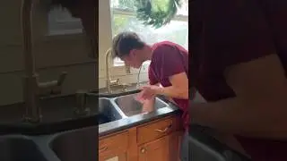 A Dumb Way To Die 😂 