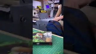 Tienes alguna otra razón para amarlos ?