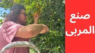 Intermediate Arabic Listening: Making Jam and Fruit Picking.