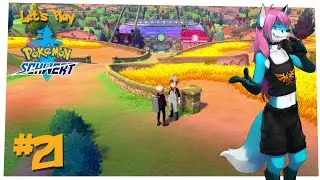 Let's Play Pokémon Schwert ⚔️21 - Route 4