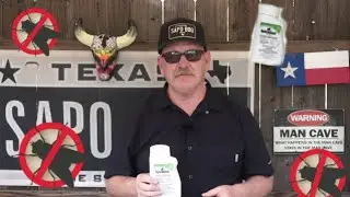 How to get rid of flies in your yard.
