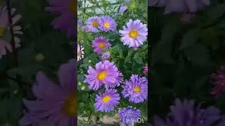хэерле жэйге иртэ,имин коннэр дусларым,туганнарым!
