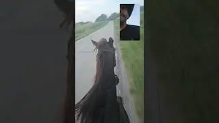 Editing Videos While Running Down the Road on a Horse #horse #itisneverthehorsesfault