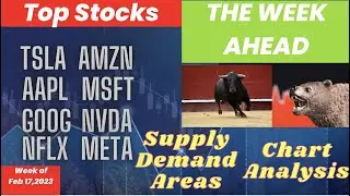 TSLA AAPL AMZN GOOG MSFT NVDA NFLX META   Feb 17 2023