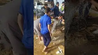 قوه ميه موتور ارتوازي 50 كيلو واط
