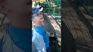 Артём и Максим в Сафари Парке играются с козочками и поросятами