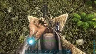 Быстрый Лютоволк The Island / ARK Survival Evolved