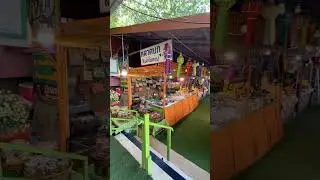 Ayutthaya Day Trip Part 2 🛕 #thailand #travel #food