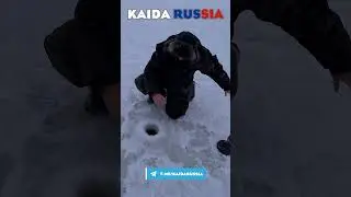 Ловля Щуки В Январе, На Жерлицы. Рыбалка 2025.