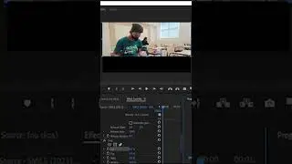 HOW TO USE TRANSFORM EFFECT IN PREMIERE PRO | 