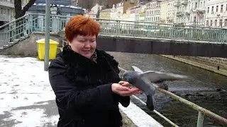 юбилей часть 2