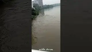 Chennai rain today live news | Water 4m Chembarambakkam lake to Adayar river 6 #shorts #சென்னை #மழை
