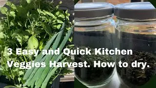 3 fastest growing kitchen vegetables within 2 - 8 weeks