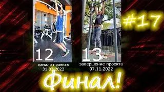 How to do 30 pull-ups? Part 17. The final push. Project completion.