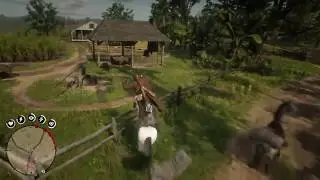 Red Dead Redemption 2 - Thanks, horse.