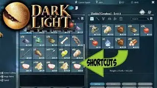 Dark and Light - Shortcut Keys + Tips & Tricks (Transfer Key, Drop Item Key (Dark and Light Tutorial