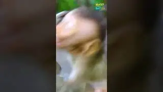 Compassionate​ for baby😨😢💔.