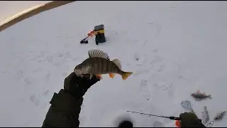 РЫБАЛКА В КАЗАХСТАНЕ!!! ОКУНЬ НА ЗАКАТЕ!!!