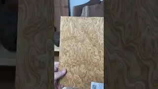 Как выглядит шпон экзотических деревьев