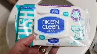 Quick Review: Nice 'N Clean Wipes - Really Flushable?