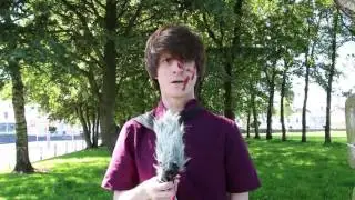 CYTAC - Jakub | Rent Situation | CYPHER