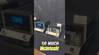 McIntosh at the NIAV 2024 Show