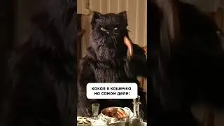 Кошечка, которую мы заслужили 😂 