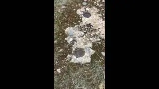 ROMA DÖNEMİ MEZAR İŞARETİ (TREASURE) (treasure historical artifacts)