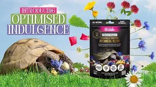Luxurious Botanical Topper For Tortoises & More | Optimised Indulgence