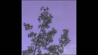 (FREE) *ukulele* Juice WRLD x Joji Type Beat - hidden feelings