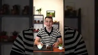 Что такое пуэр