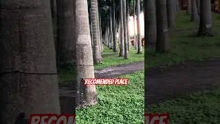 Recomended place for you 🥰#shortvideo #trendingvideo #trending #nature #trendingshorts #viralvideo