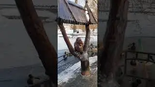 гор парк