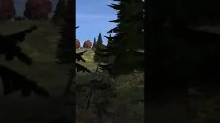 tracking prey while hunting.
