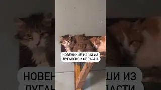 План на неделю читайте в комментах. 