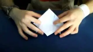 ¿Cómo hacer una rana?