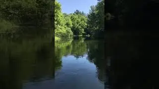 Делайте то, что уже знаете!..💖😃🪗 Остальное приложится вам!..
