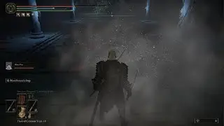 +9 Mimic vs Stray Mimic