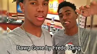Fredo Bang - Dawg Gone lyrics