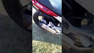 Yamaha TDM 850 Roadsitalia 2 in 1 puresound