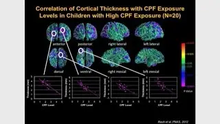 Brain and Behavioral Effects of Early Exposures to Neurotoxicants