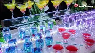 JARDIN DE EVENTOS EN PEDREGAL  Lienzo Charro La Tapatía