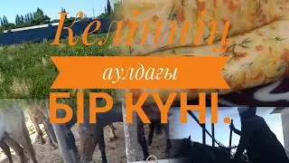 АУЫЛ ВАЙБ.ТҮСКІ АСқа идея.)))