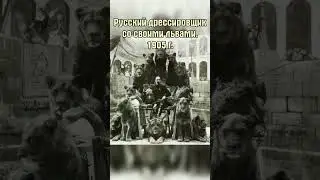 Русский дрессировщик #shorts #история #литература #классика