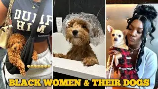 Black Women & Their Dogs | Funny TikTok Compilation 2025 