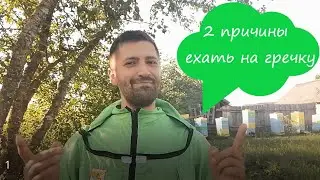 Гречишный мёд - самое лучшее воспоминание о лете! Будет ли 100% результат в сезоне?